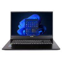 43,9cm (17.3") TERRA MOBILE GAMER ELITE 5v4 U9-275HX...