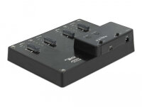 DELOCK M.2 Dockingstation 4xM.2 NVMe PCIe SSD Klon Funktion