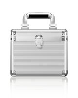 Schutzkoffer IcyBox  10x2,5" o. 3,5" HDD/SSD Aluminium retail