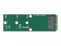 DELOCK Adapter mSATA zu M.2 Key B Slot