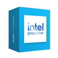 Intel 300 Prozessor LGA16A  6MB Cache 3,9GHz retail