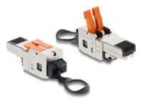 DELOCK  RJ45 Stecker mit Klemmverschluss 2 Pin