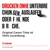 Patrone Canon PGI-570PGBK XL   black