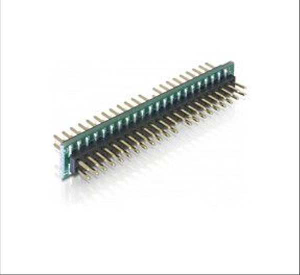 DELOCK IDE Adapter IDE 44Pin -> IDE 44Pin St/St