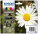 Patrone Epson 18 4er-Pack black + color XL             T1816