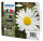 Patrone Epson 18 4er-Pack black + color XL             T1816