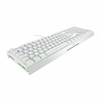 Cherry  Xtrfy MX 3.1 MX2A RGB BROWN USB Gaming Tastatur...