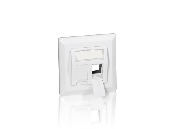 Equip Frontplatte 2xKeystone Jack 45°                RAL9010 Polybeutel