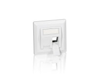 Equip Frontplatte 2xKeystone Jack 45°...