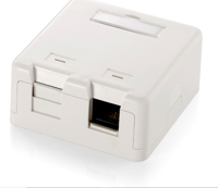 Equip Aufputzdose  2-Port Keystone ungeschirmt...