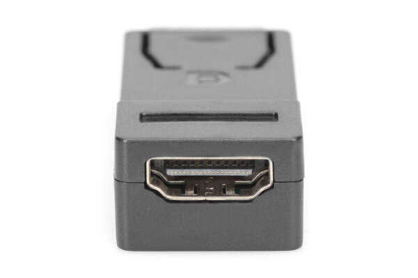 Digitus DisplayPort Adapter