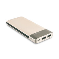 RealPower Powerbank PB-8000 Fashion Champagner      8.000mAh